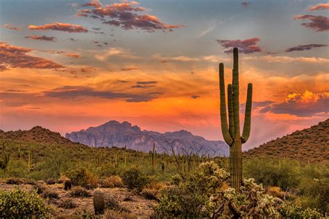 Visit Phoenix .